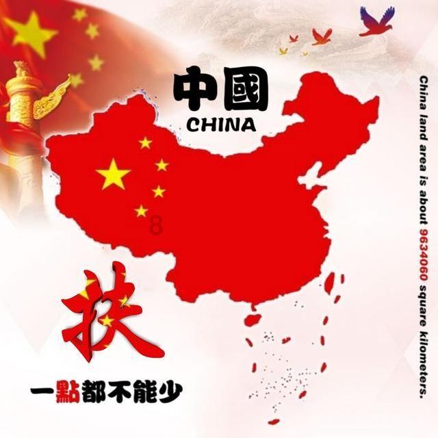 可爱的小考拉